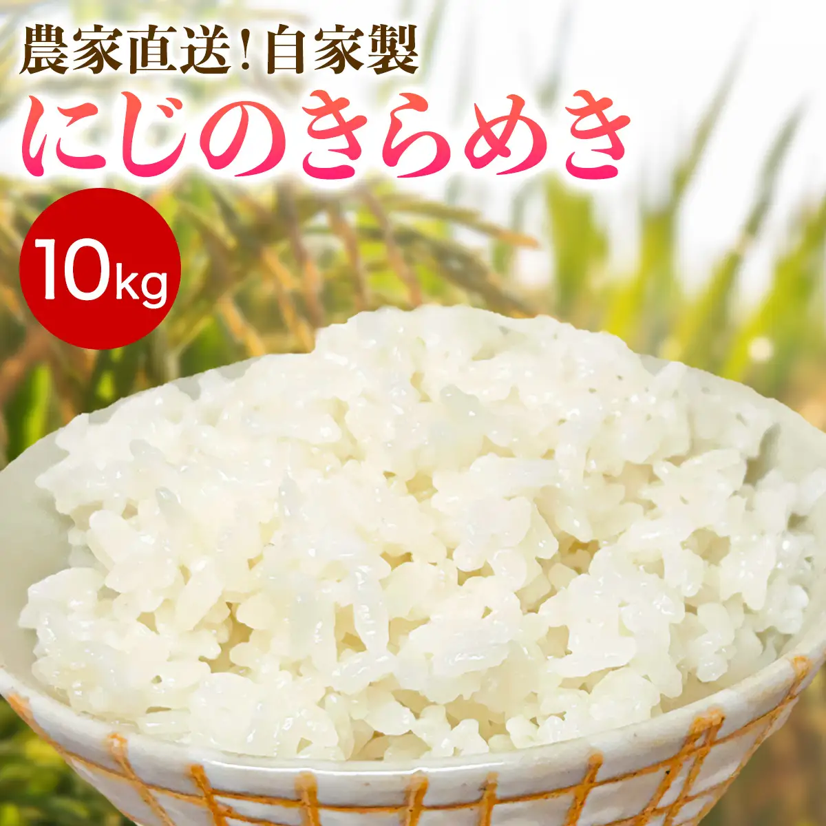 新米 [令和8年産／11月上旬より順次発送] 伊勢原産 精米10kg (5kg×2袋) にじのきらめき 農家直送！加藤さんちのうんめぇ！自家製米 [1146]