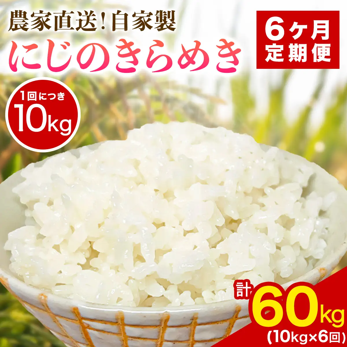 新米 [定期便／6ヶ月連続][令和8年産／11月上旬より順次発送] 伊勢原産 精米10kg (5kg×2袋) にじのきらめき 農家直送！加藤さんちのうんめぇ！自家製米 [1148]