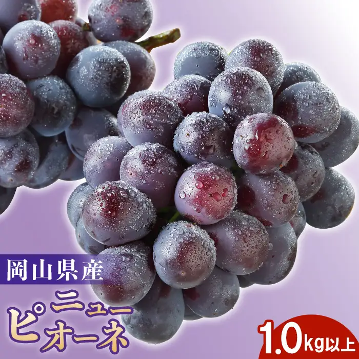 74-24 秋のニューピオーネ2房（計1.0kg以上)