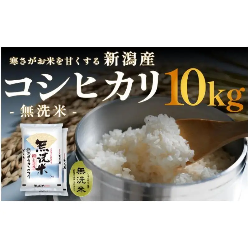 無洗米 新潟産 コシヒカリ 10kg (5kg x 2) 令和7年産