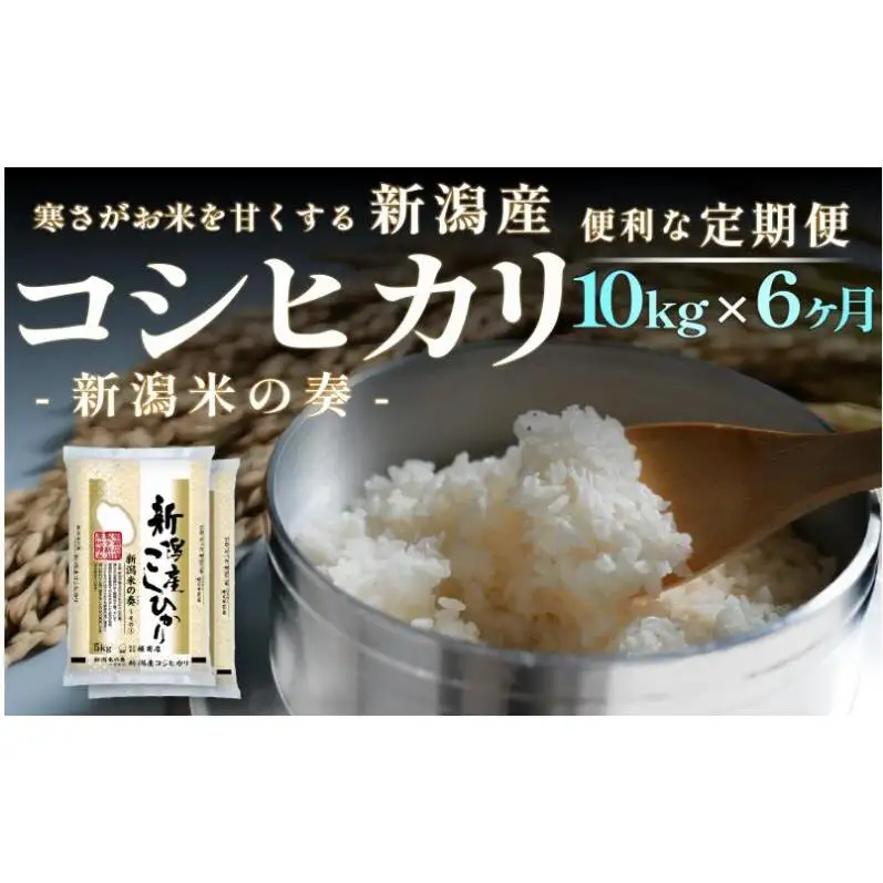 【定期便】新潟産 コシヒカリ 10kg×6回（6ヶ月）