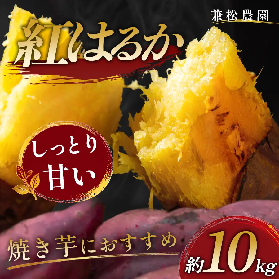 さつまいも 熟成 紅はるか 約10kg 国産 焼き芋 焼芋 やきいも しっとり 蜜芋 芋 おいも サツマイモ さつま芋 べにはるか スイーツ おやつ 産地直送 栽培期間中農薬不使用 高知県 大月町産