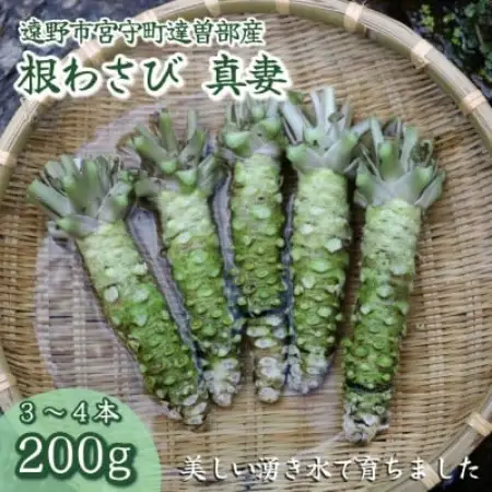 【生産者直送】宮守特産わさび(生) 真妻 200g(3～4本) 岩手県 遠野市 達曽部 薬味 葵食品【配送不可地域：離島】【1332050】