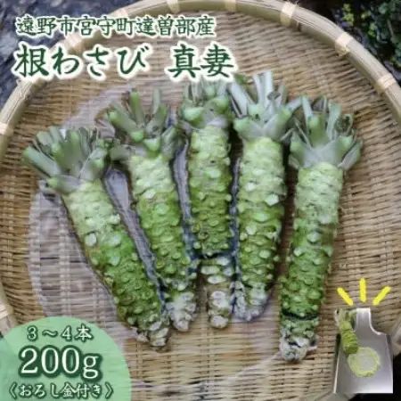 【生産者直送】宮守特産わさび 真妻(生) 200g(3～4本)【おろし金付き】岩手県 遠野市 葵食品【配送不可地域：離島】【1332087】