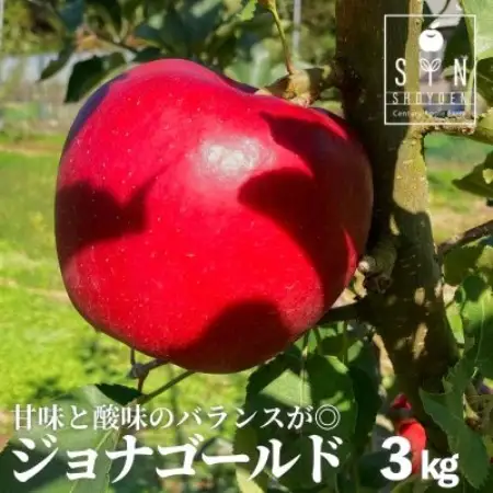 りんご ジョナゴールド 3kg 松陽園 樹上 完熟 岩手県 遠野市 産 先行予約 農家直送【配送不可地域：離島】【1332202】