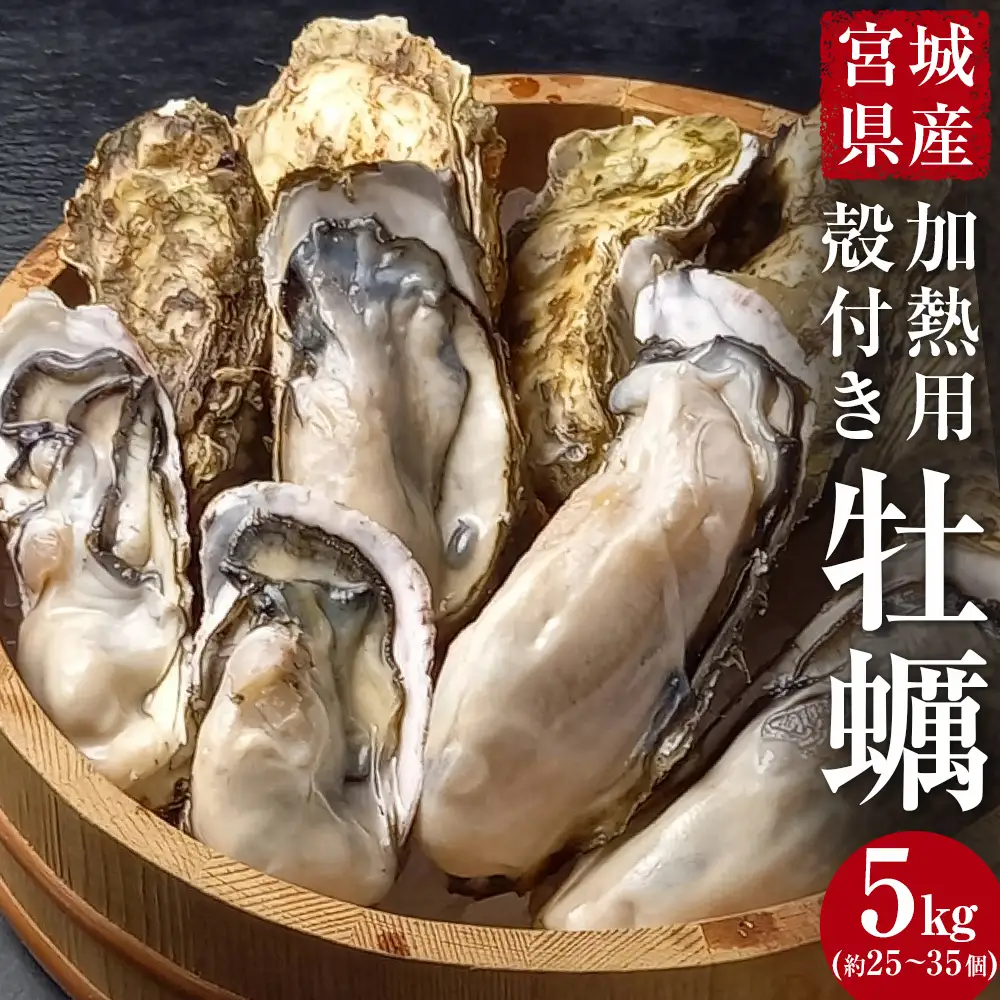 牡蠣 宮城県産 選別済み 5kg 加熱用 真牡蠣 かき カキ 貝 貝類 海産物 魚介類 海鮮 冷凍 宮城県 宮城 石巻市 石巻