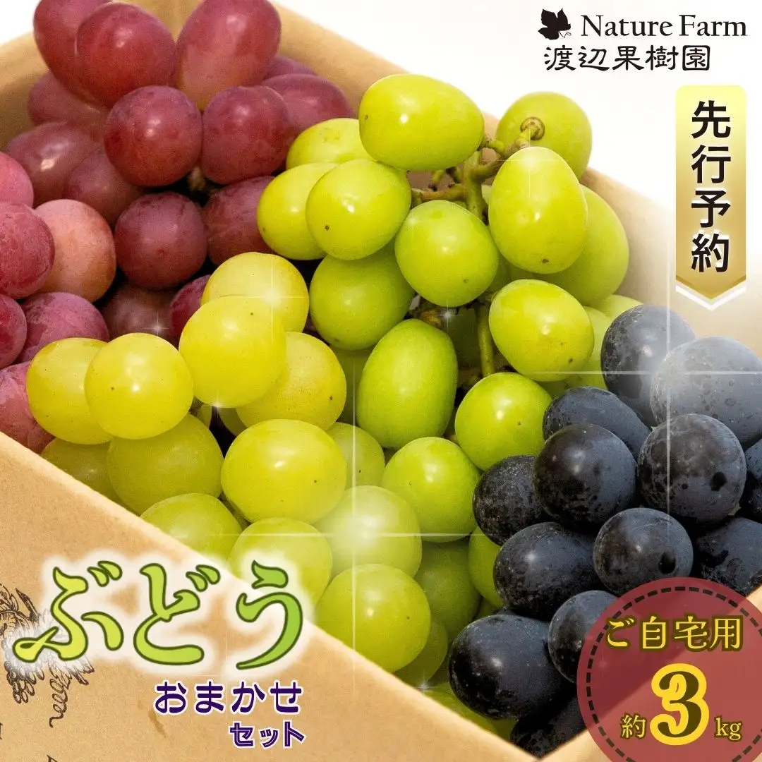 先行予約 ご自宅用ぶどうおまかせセット 約3kg 令和8年度 三条市 シャインマスカット 渡辺果樹園
