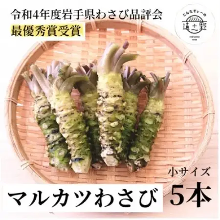 マルカツわさび 小サイズ 5本 真空 岩手県遠野市産【こんたでぃーの遠野】【配送不可地域：離島】【1485585】