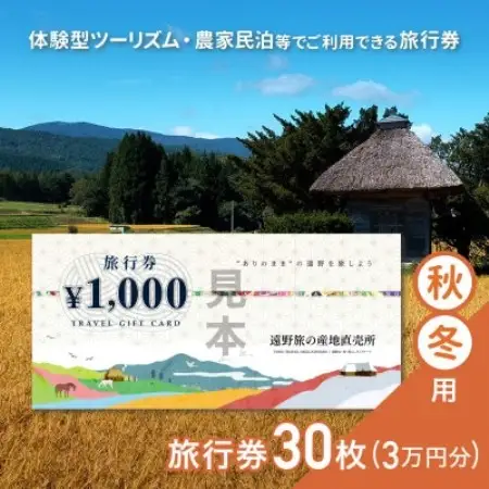 遠野旅の産地直売所 旅行券 30,000円分 秋冬用 岩手県 遠野市 ツアー 宿泊 体験 チケット【1506661】