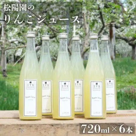 松陽園 りんごジュース 720ml×6本セット 遠野産りんご100%使用【1511274】