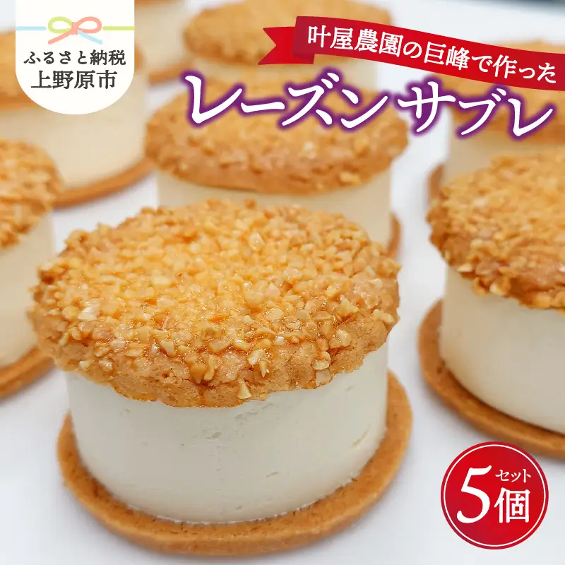 叶屋農園の巨峰で作ったレーズンサブレ5個入り
