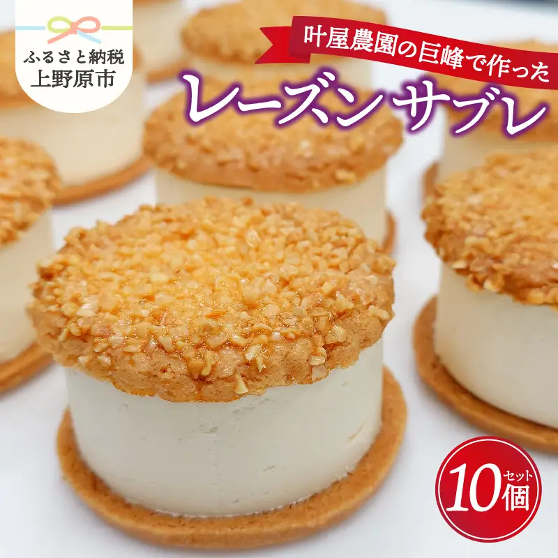 叶屋農園の巨峰で作ったレーズンサブレ10個入り