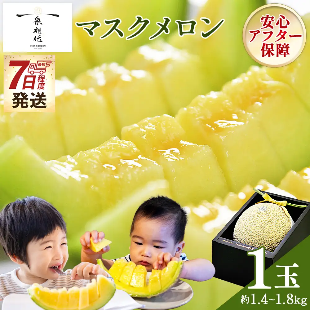 マスクメロン 1玉入り【10月1日から7日以内に発送】 メロン tn-0064