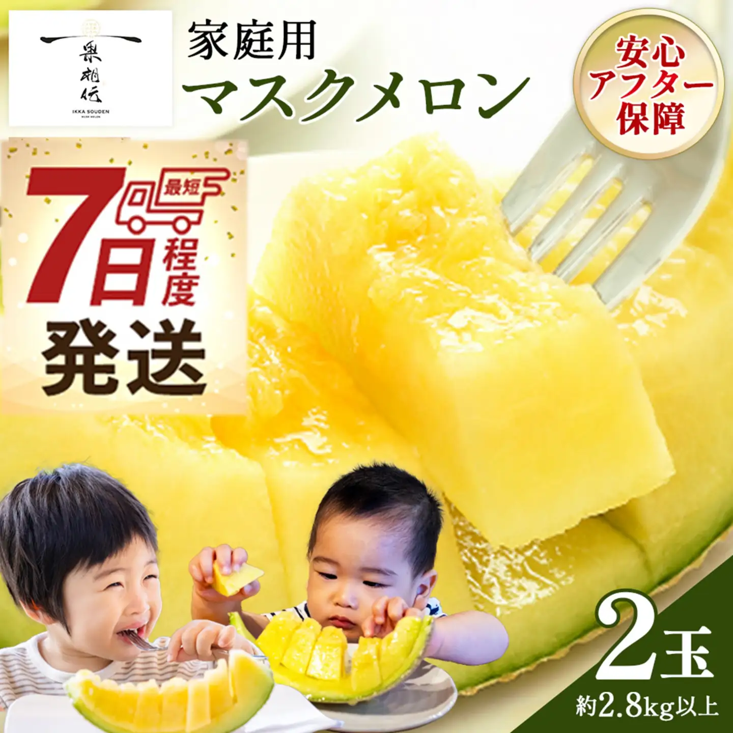 【先行予約】マスクメロン(家庭用) 2玉入 青肉品種 高級メロン！ ／ マスクメロン 果物 フルーツ 訳あり 産地直送 tn-0063