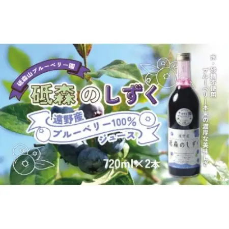 砥森のしずくブルーベリージュース 果汁100% 720ml×2本 岩手県遠野市 砥森山ブルーベリー園【1583507】