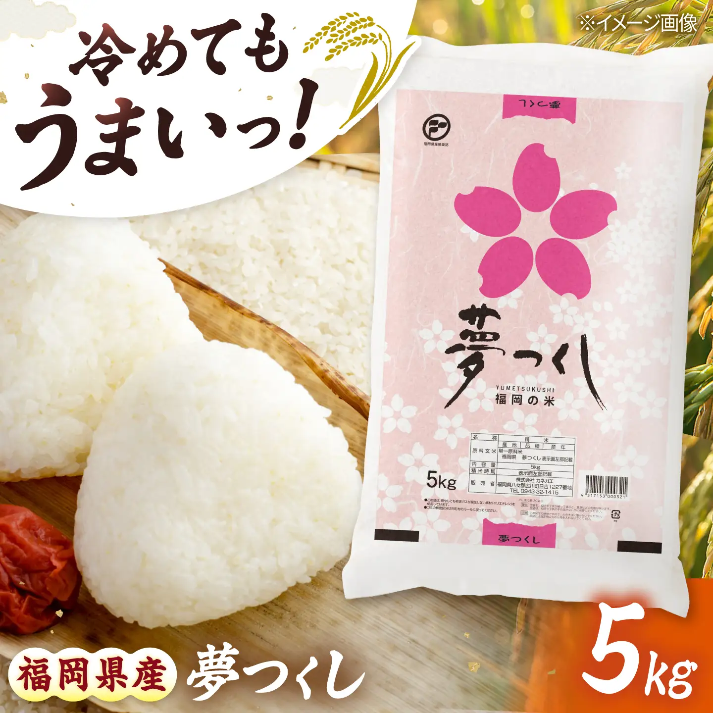 令和7年産 福岡県 夢つくし 5kg BGBZ001 夢つくし 5kg
