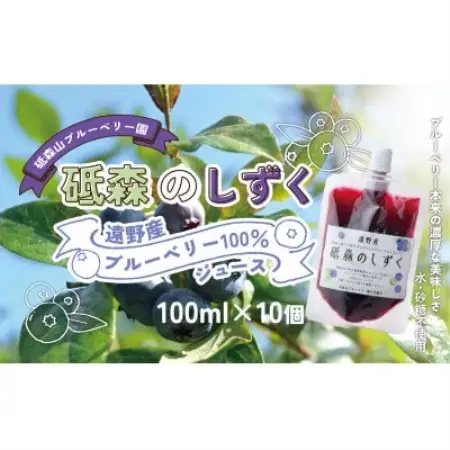 砥森のしずく ブルーベリージュース 果汁100% 100ml×10個 遠野市 砥森山ブルーベリー園【1583564】