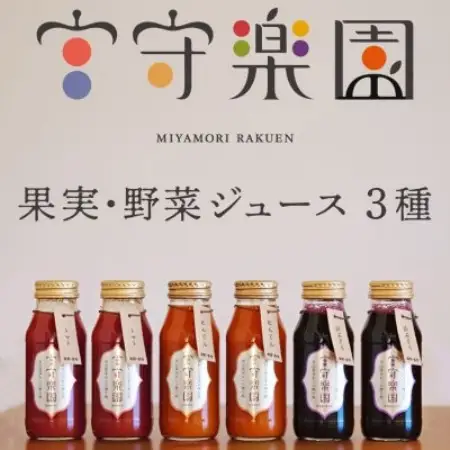 宮守楽園 ジュース 3種  6本 セット / 宮守川上流生産組合 遠野市【1635004】