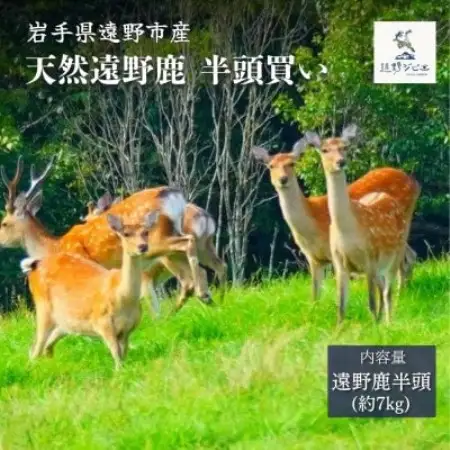 遠野鹿 半頭買い 7kg | 遠野ジビエの里【配送不可地域：離島・沖縄県・九州】【1655075】