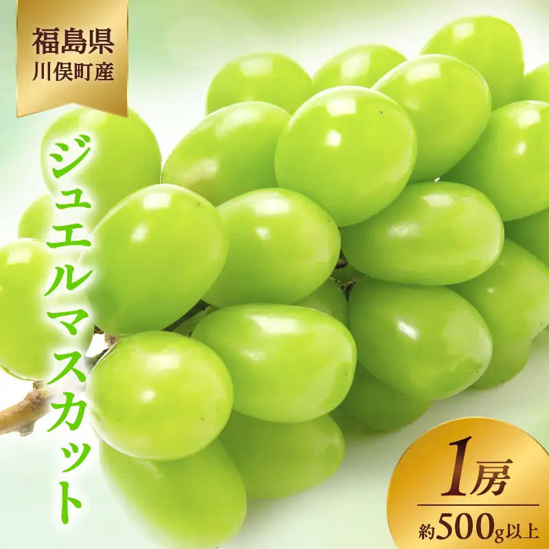 川俣町産 ジュエルマスカット 1房 約500g以上 マスカット ぶどう ブドウ 葡萄 デザート フルーツ 果物 くだもの 果実 食品 FAF-0228