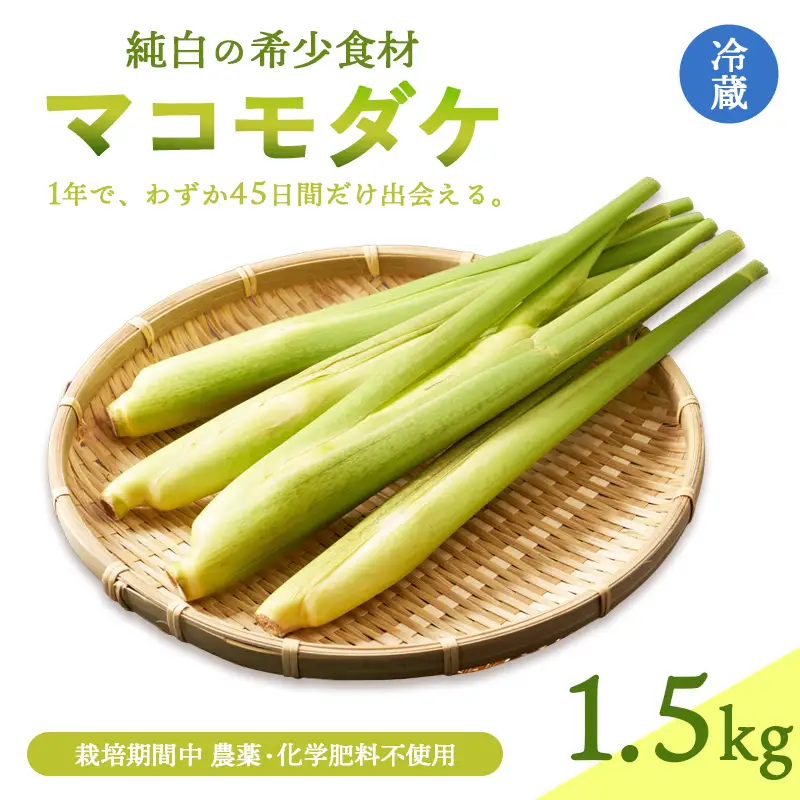 マコモダケ 1.5kg | 栽培期間中農薬不使用