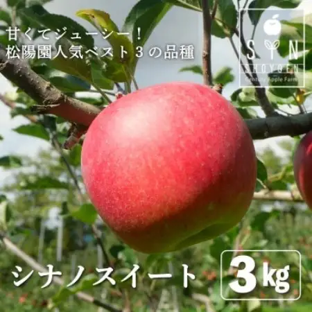 先行予約 松陽園の樹上 完熟 りんご シナノスイート 3kg 岩手県 遠野市産 農家直送【配送不可地域：離島】【1698678】