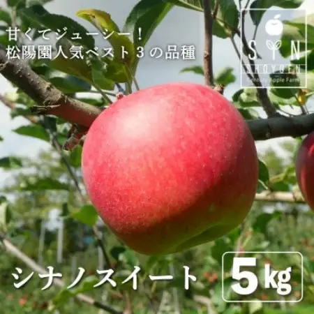 先行予約 松陽園の樹上 完熟 りんご シナノスイート 5kg 岩手県 遠野市産 農家直送【配送不可地域：離島】【1698679】