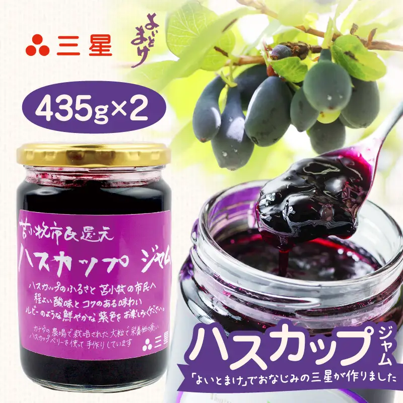カナダ産 苫小牧市民還元 ハスカップジャム 435g（2瓶） T044-017-02 果物 加工品
