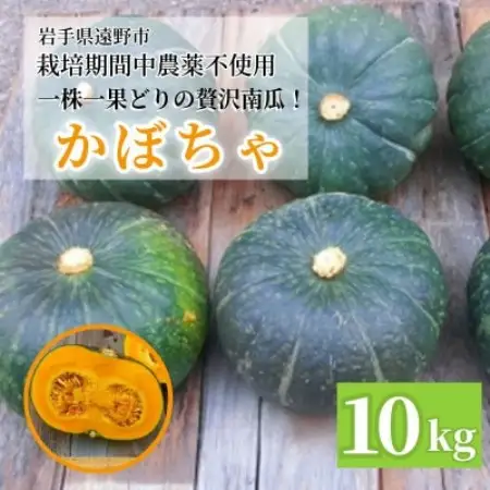 【甘い粉質系】かぼちゃ(10kg)栽培期間中農薬、動物性化成等不使用  / 遠野もぐもぐカントリー【1732217】
