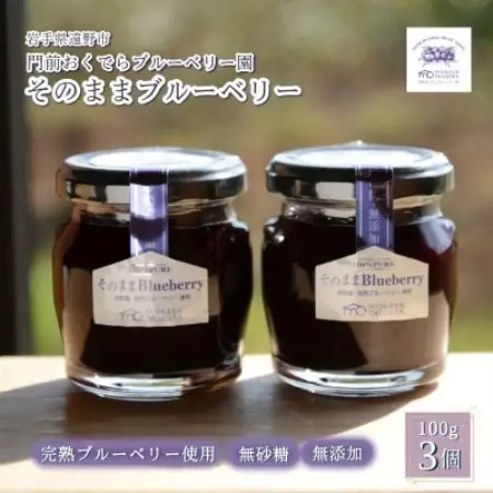 濃縮ジャムタイプ「そのままブルーベリー」100g×3本　門前おくでらブルーベリー園【1738483】
