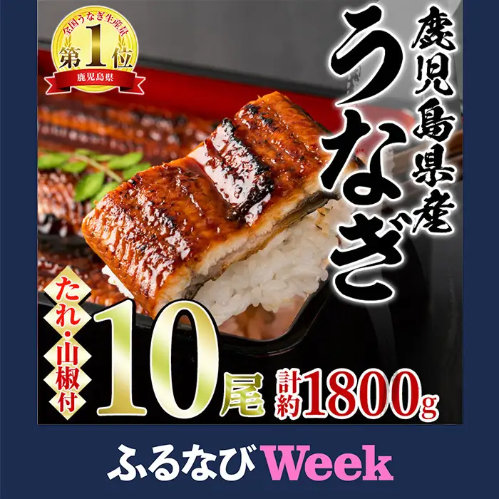 【ふるなびWEEK対象】東串良町 うなぎ 蒲焼 (無頭)(10尾・計約1,800g・タレ、山椒付) 高級 ウナギ 鰻 国産 たれ 鹿児島 ふるさと 人気【アクアおおすみ】【0624353a】