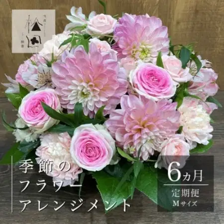 【毎月定期便】松田生花店の季節のフラワーアレンジメント Mサイズ全6回【配送不可地域：離島】【4050666】