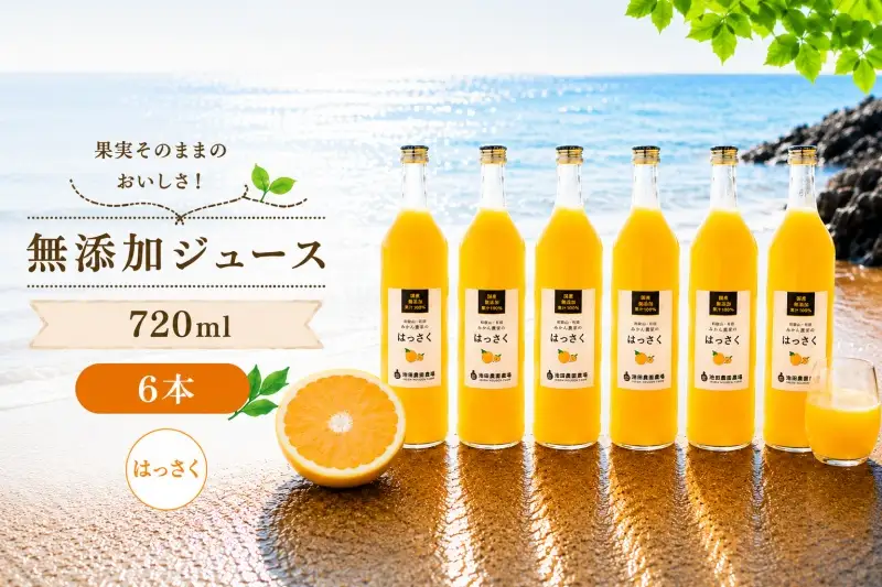 はっさく 100% ジュース / 八朔 ストレート 果汁 無添加 柑橘 和歌山 20000円 720ml ※北海道・沖縄・離島への配送不可 //drink 【ikd100-has720-6】