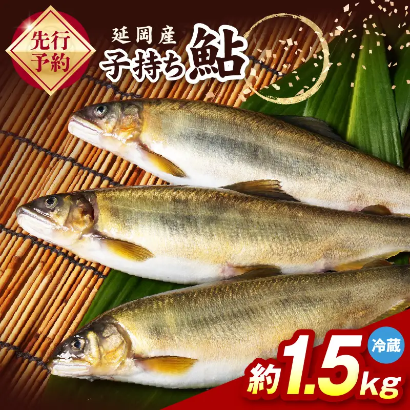【先行予約】2026年10月下旬より発送開始【冷蔵】子持ち鮎約1.5kg N070-YB1106-1