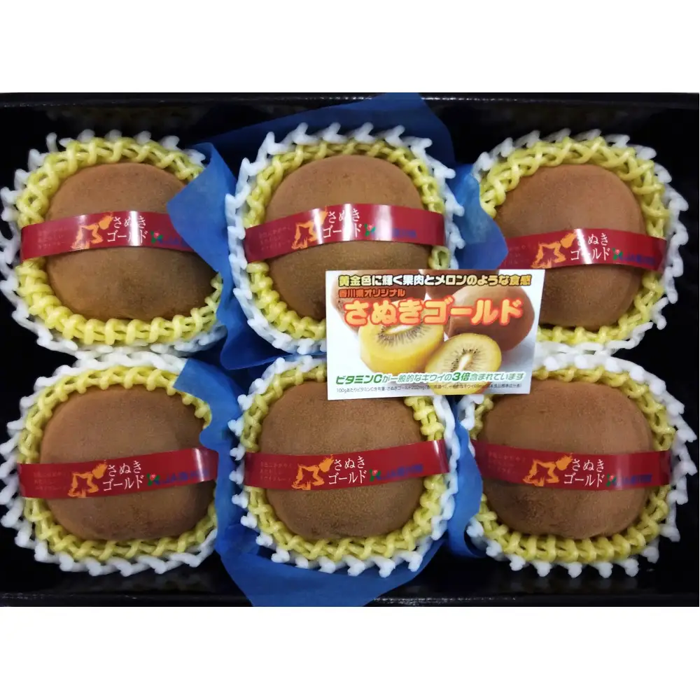 さぬきゴールドキウイ「黄様」超大玉6個入り×2箱【化粧箱入り】