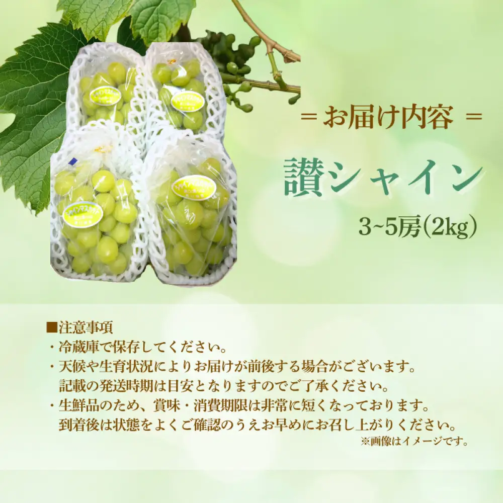 香川産 シャインマスカット「讃シャイン」３～５房（2kg以上）