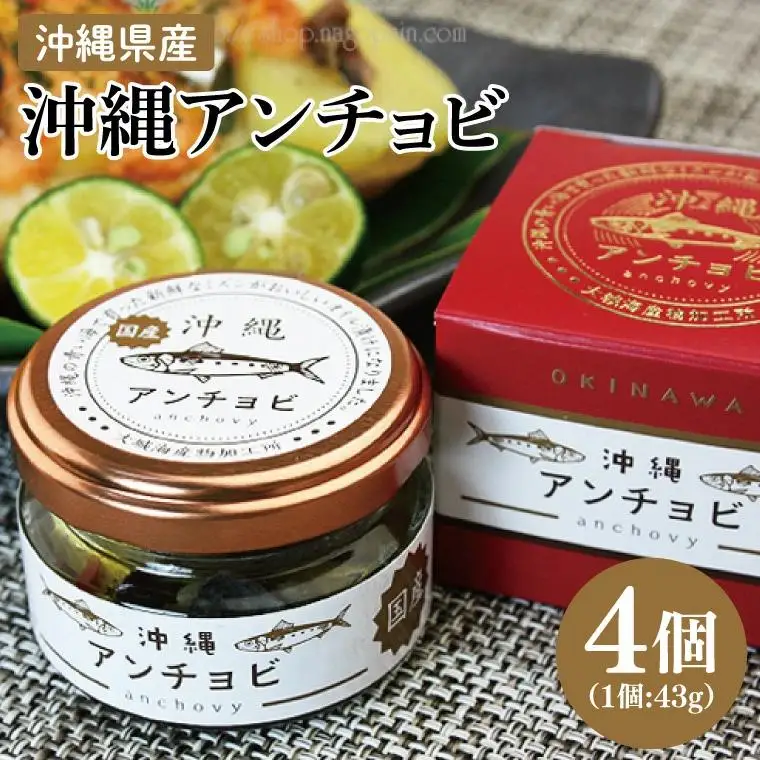 【沖縄県産】沖縄アンチョビ 43g×4個 (BX004)