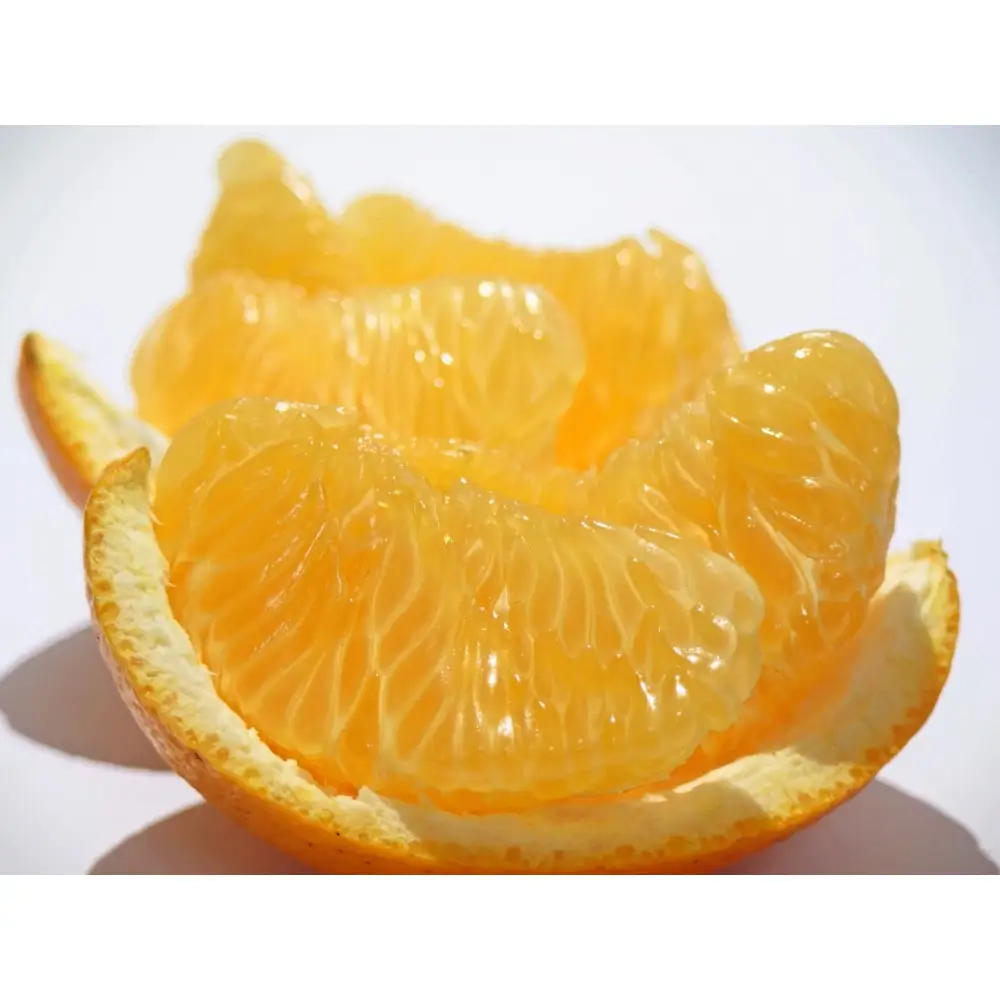 ≪ご褒美ふるーつ≫「完熟ハッサク」約3.8kg【2027年3月上旬頃お届け】