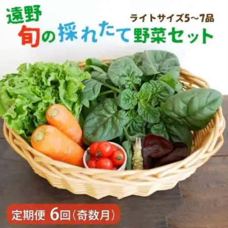 【発送月固定定期便】奇数月発送 旬のとれたて野菜セット(5~7品)ライトサイズ全6回【配送不可地域：離島】【4066186】