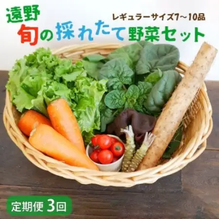 【毎月定期便】旬のとれたて野菜セット(7～10品)レギュラーサイズ【こんたでぃーの遠野】全3回【配送不可地域：離島】【4066189】
