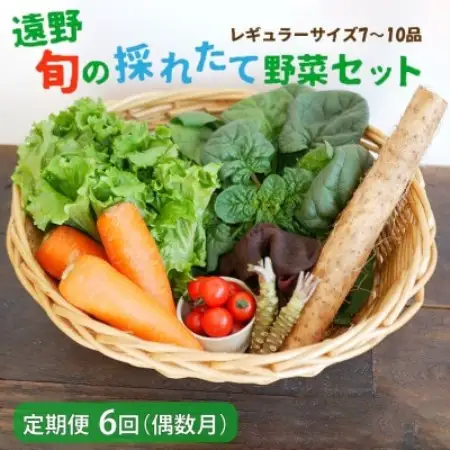 【発送月固定定期便】偶数月発送 旬のとれたて野菜セット(7～10品)レギュラーサイズ全6回【配送不可地域：離島】【4066190】