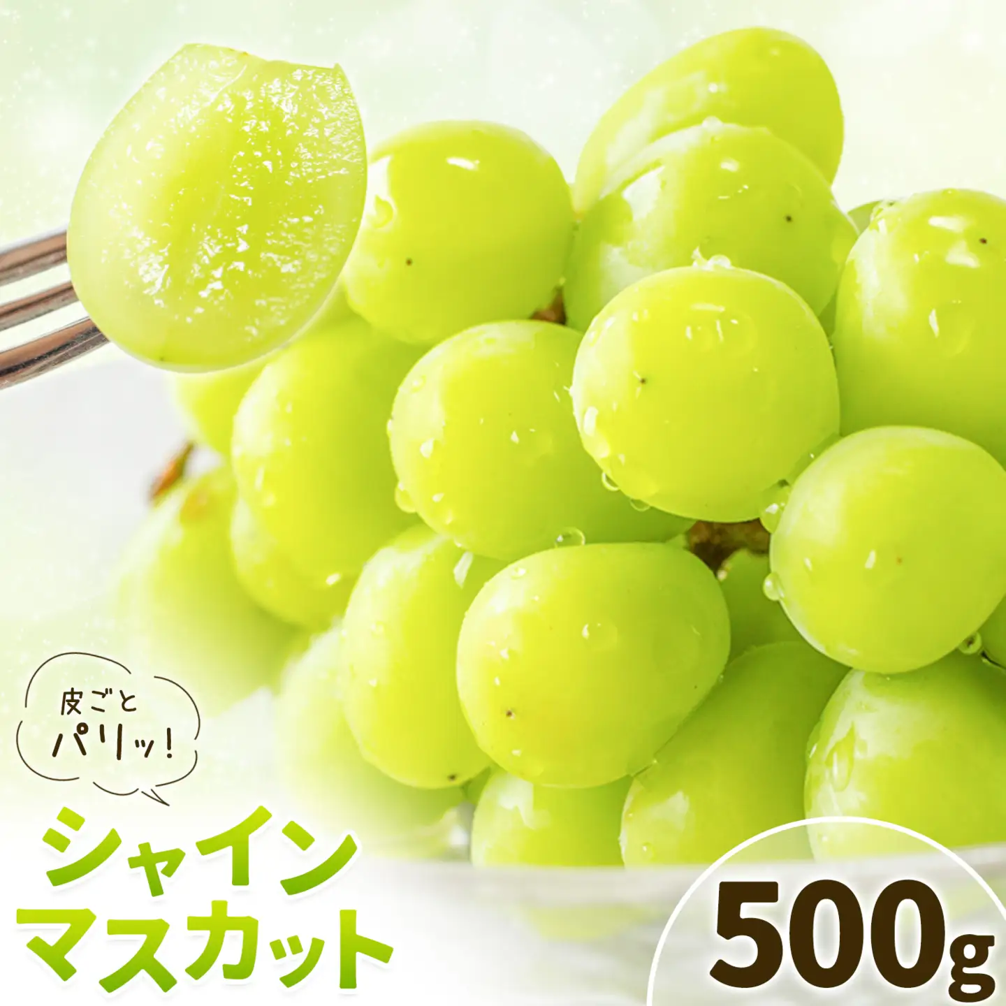 シャインマスカット 500g 株式会社エフビーネット《8月中旬-9月上旬頃出荷》熊本県 菊池市 ぶどう ブドウ マスカット 果物 フルーツ デザート ギフト ご贈答 熊本県産