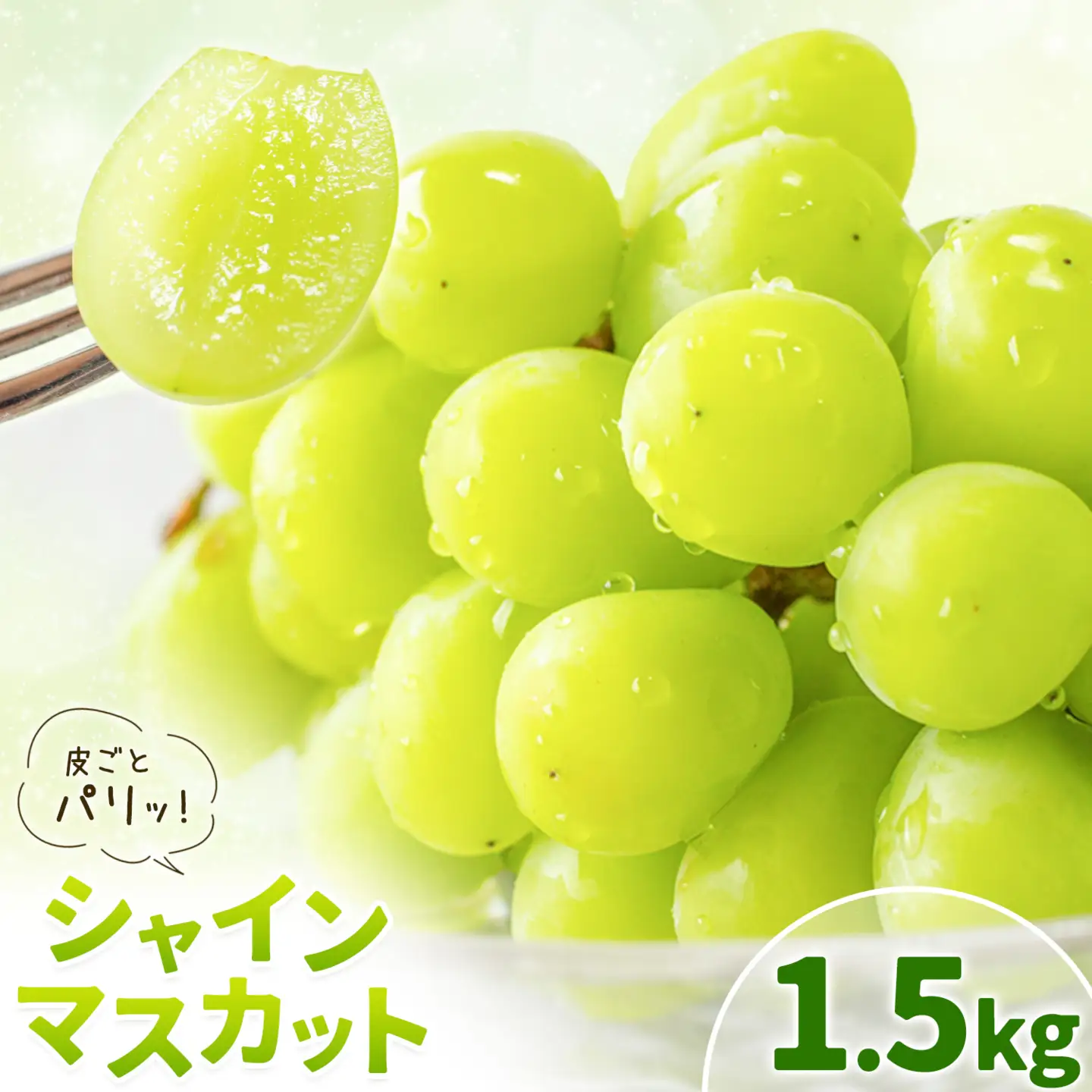 シャインマスカット 1.5kg 株式会社エフビーネット《8月中旬-9月上旬頃出荷》熊本県 菊池市 ぶどう ブドウ マスカット 果物 フルーツ デザート ギフト ご贈答 熊本県産