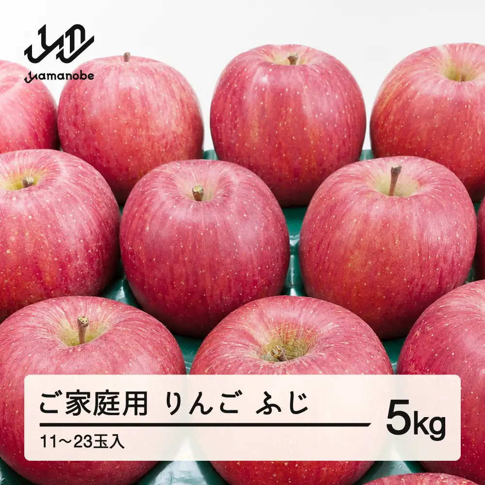 《先行予約》2026年 山形県産 令和8年 ご家庭用 ふじりんご 5kg  ※沖縄・離島への配送不可 ts-rifkx5