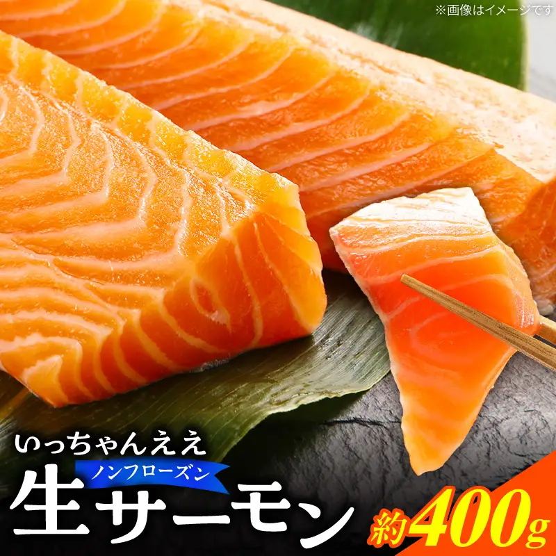 いっちゃんええ【ノンフローズン】生サーモン 全て手作業 約400g_FJ1000