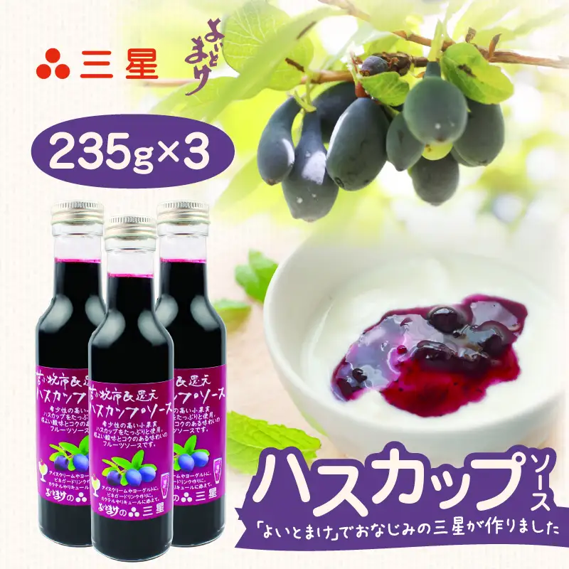 カナダ産 市民還元 ハスカップソース 235g（ 3瓶 ） T044-018 フルーツソース 甘い