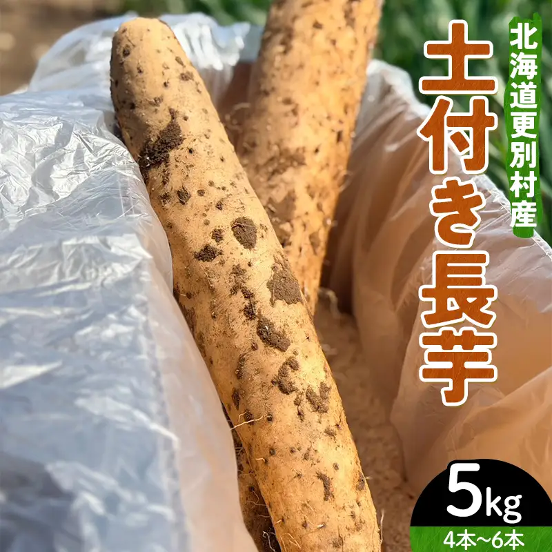 北海道更別村産 土付き長芋 5キロ 長いも ながいも ナガイモ 新鮮野菜 やさい 5kg F21P-1570