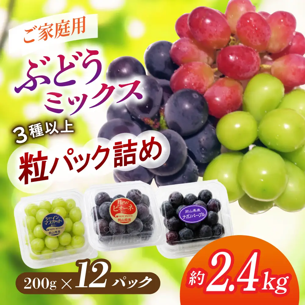 ＜粒パック詰め＞ 真庭市産旬のぶどうミックス３種以上 2.4kg 【beac011-01】
