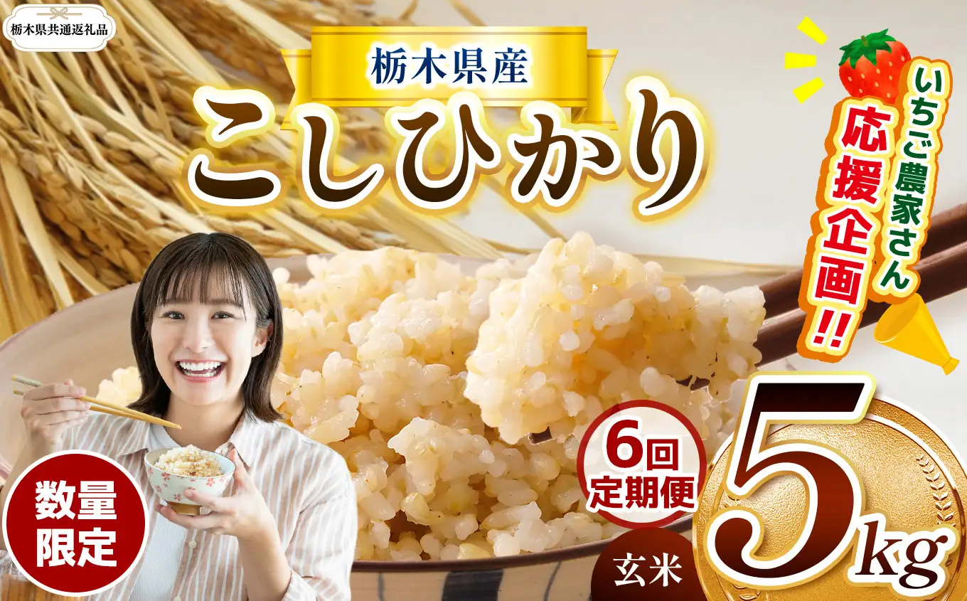 【定期6回】【先行予約】令和8年度産 栃木県産コシヒカリ 5kg