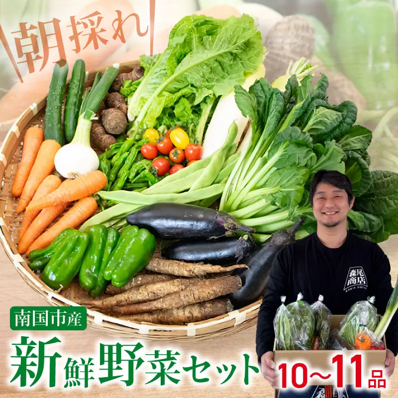 【先行予約】 新鮮野菜セット(10～11品)